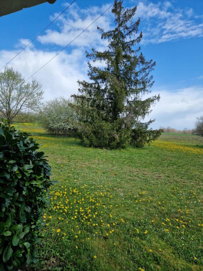 Maison Cassin47 Lavergne  Εξωτερικό φωτογραφία